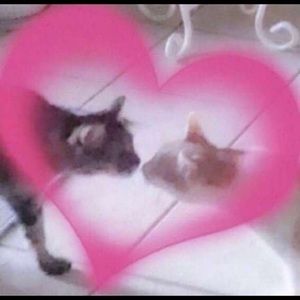 Meet your Posher, Zoe